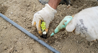 Yaşam Bahçesi’nde kışlık fideler toprakla buluştu