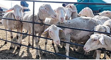 İnegöl Belediyesi İle İlçeler Arası “Tarım Ve Hayvancılıkta Güç Birliği”