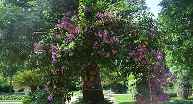 Ege Üniversitesinin endemik tür cenneti: “Botanik Bahçesi